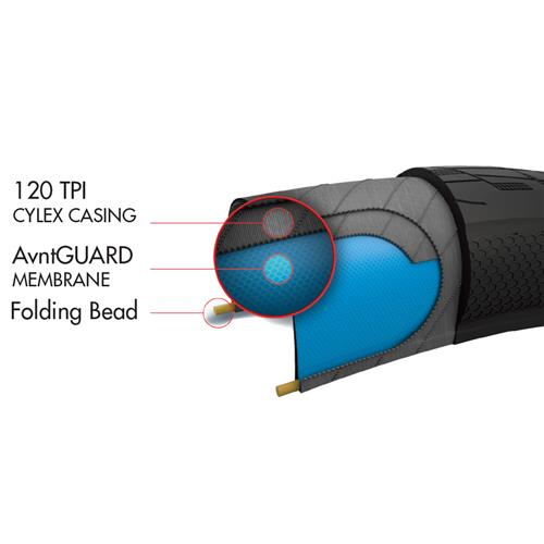 Fastr X - Black Label - 20"x1.6"